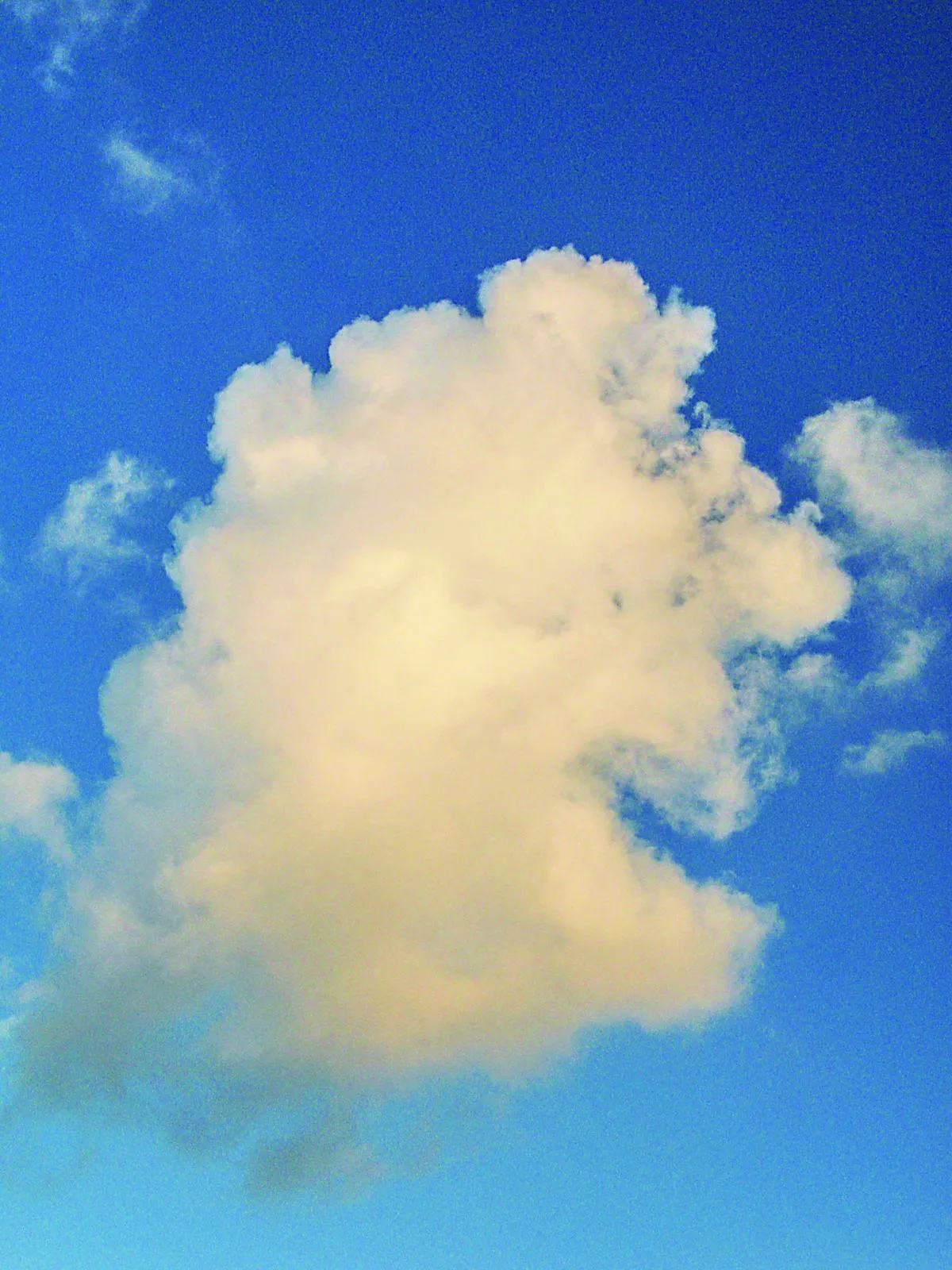 白雲蒼狗