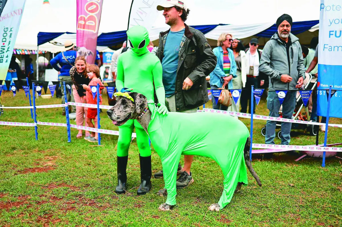 奈洛比狗狗派對 籲領養代替購買