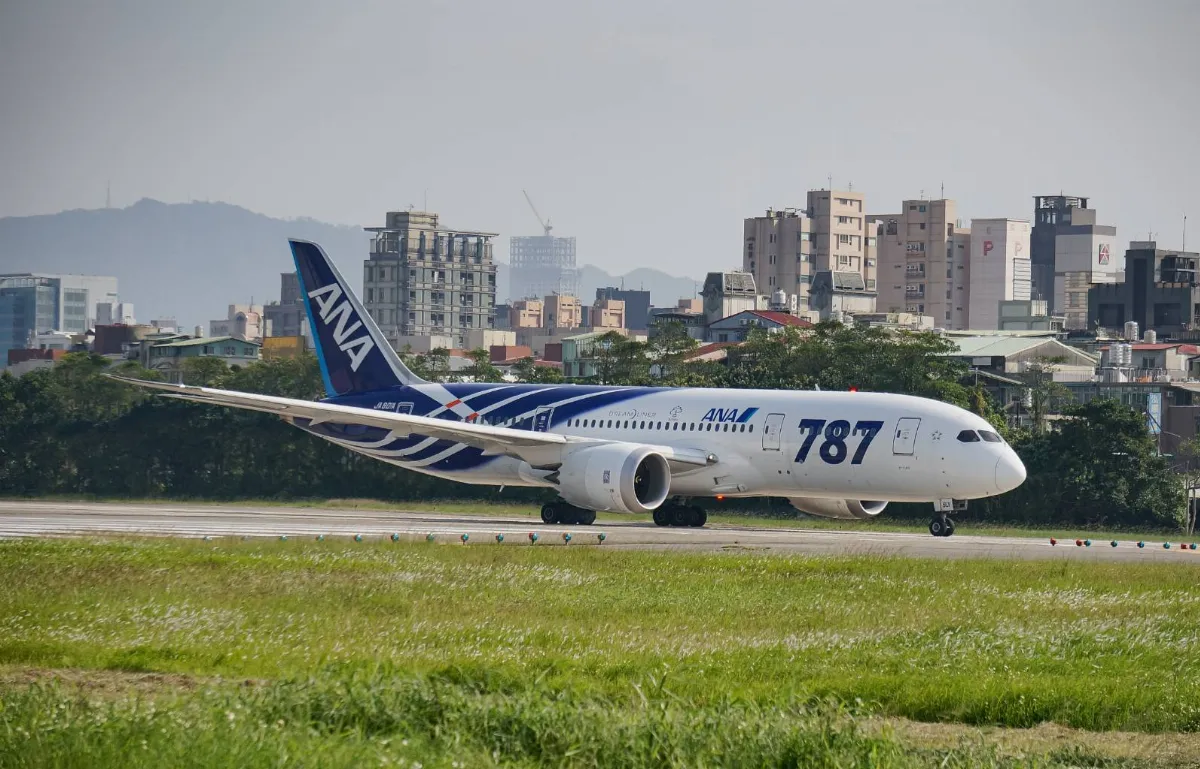 日本熊出沒蔓延  闖入機場跑道航班延誤