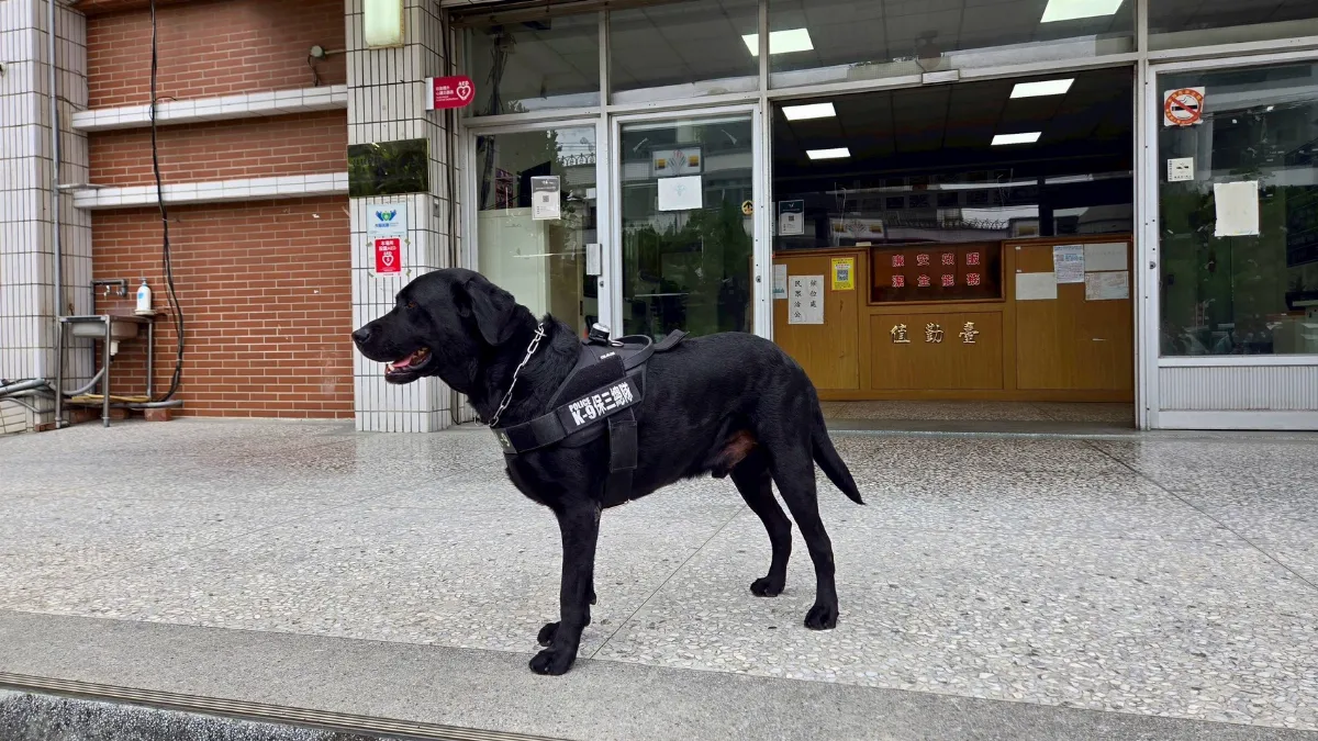 台南緝毒犬好棒棒！遍聞鐵皮屋找出3種毒品