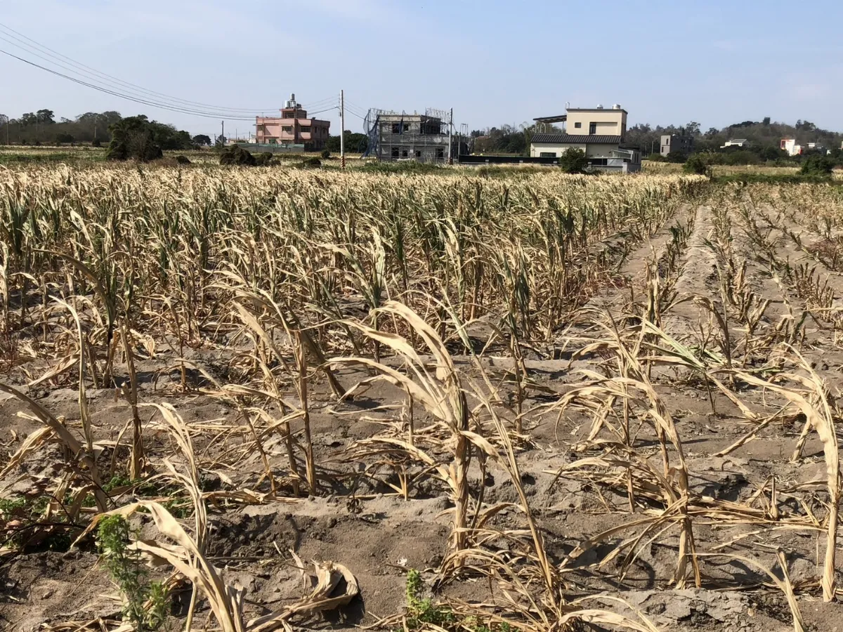 升溫1.5°C防線即將失守 2025全球碳預算報告：剩餘碳預算僅有4年