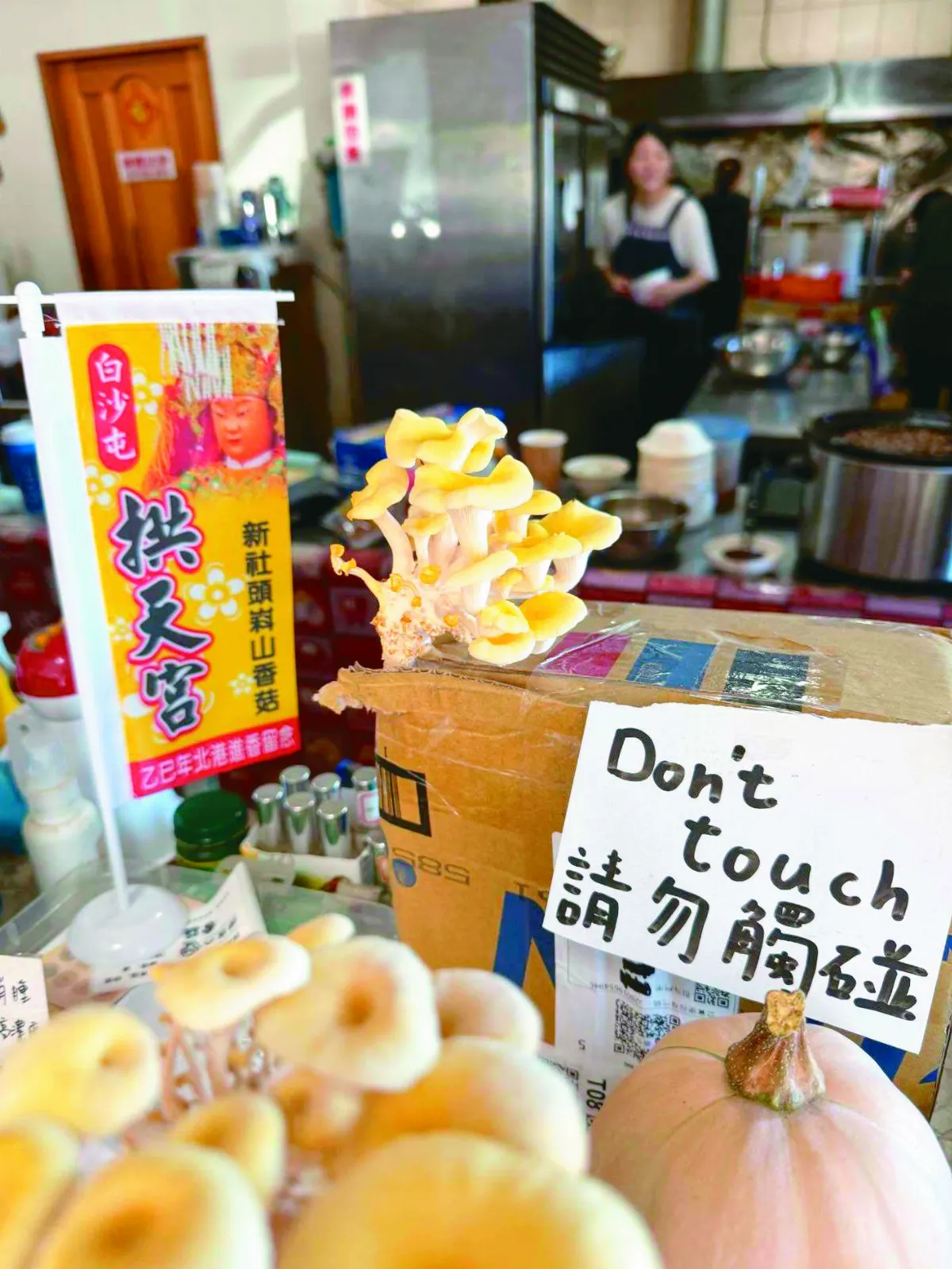 包裹流浪7天被退回 竟長出箱菇