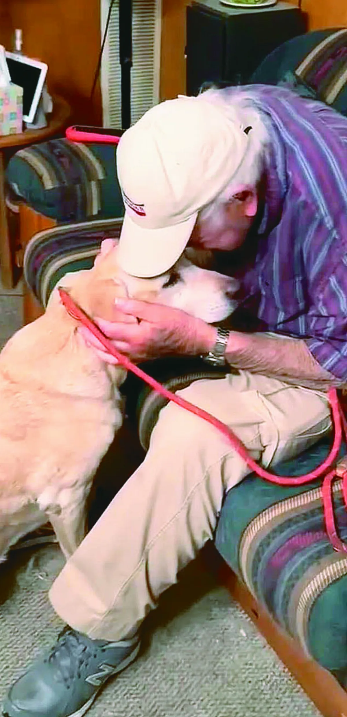 飼主出奇招 誘走失愛犬聞香團圓