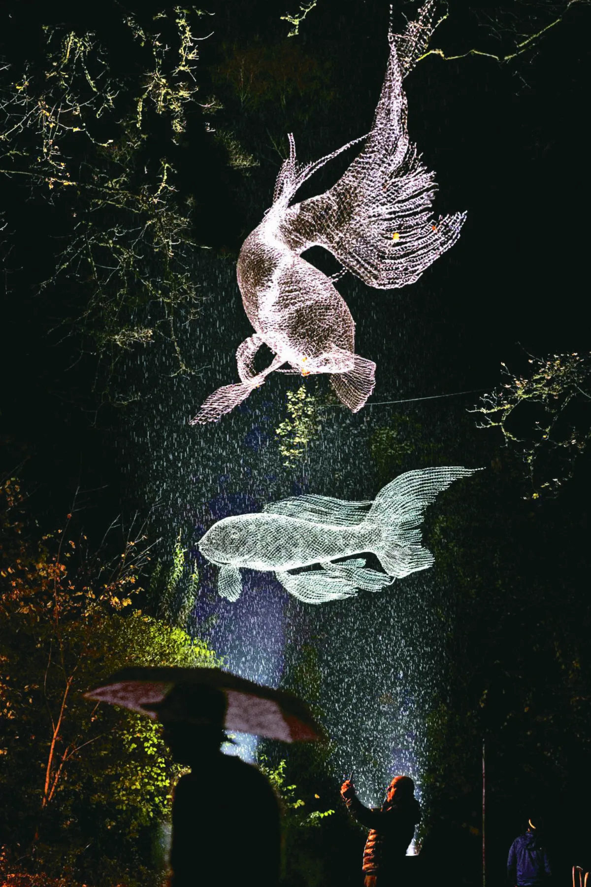 Lumiere 燈光藝術展