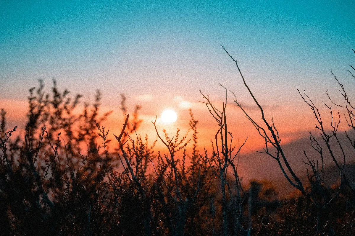 藏不住的渴望