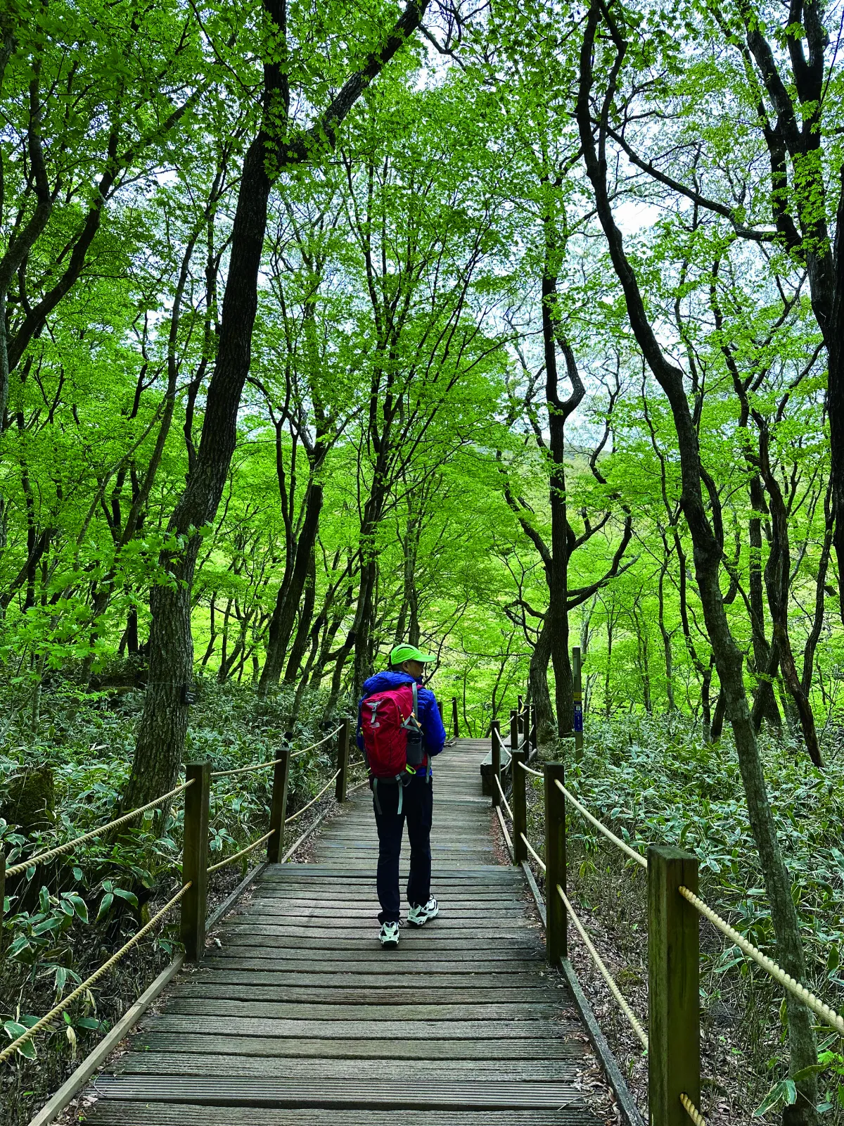 登上韓國最高峰漢拿山