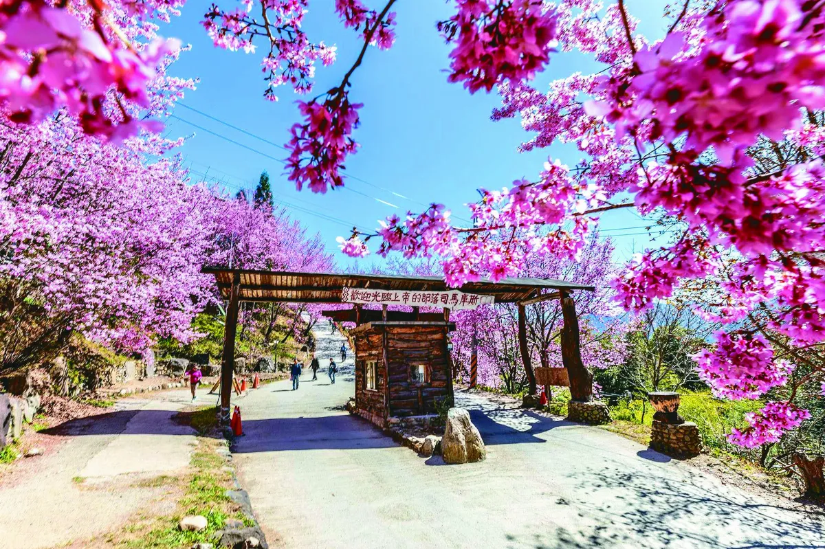 司馬庫斯美景 觀光署肯定