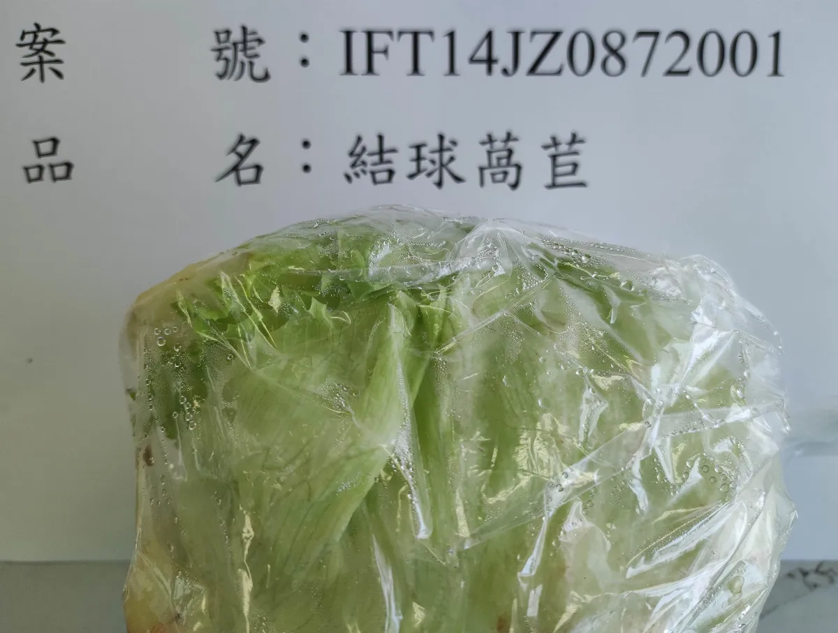 馬來西亞萵苣驗出芬普尼超標3倍 9860公斤食藥署要求退運或銷毀