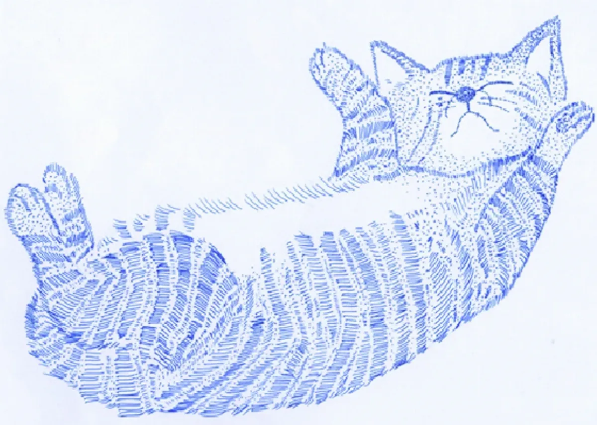 【閃文集】貓咪成長的魅力