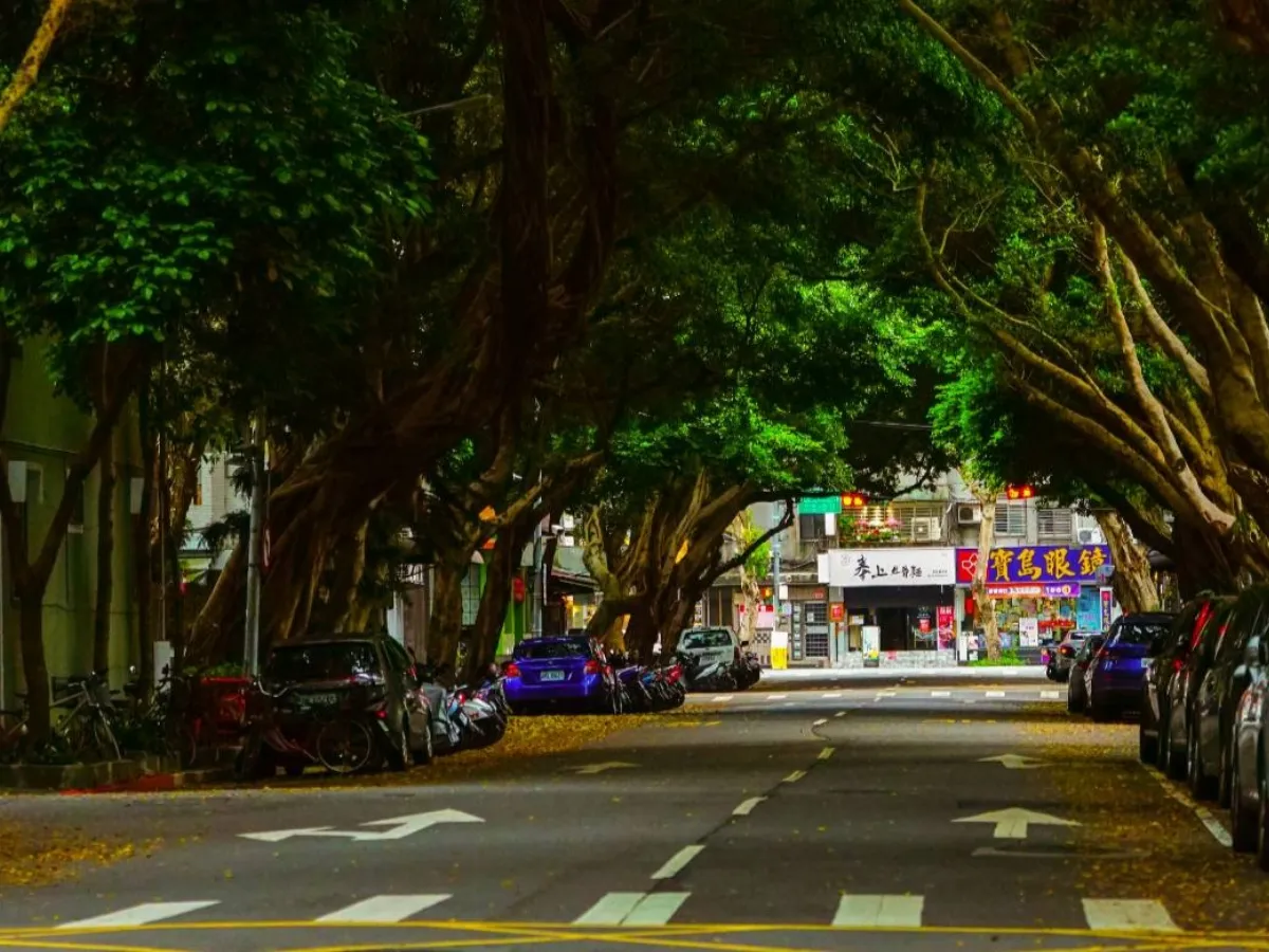 全台首處「美式街廓」特區都更？北市擬放寬建蔽率