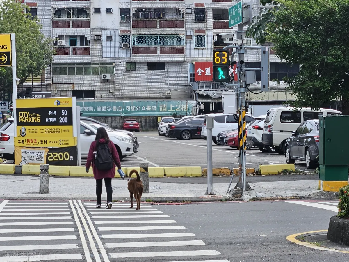 友善無障礙環境 高市首設蟋蟀聲視障語音號誌