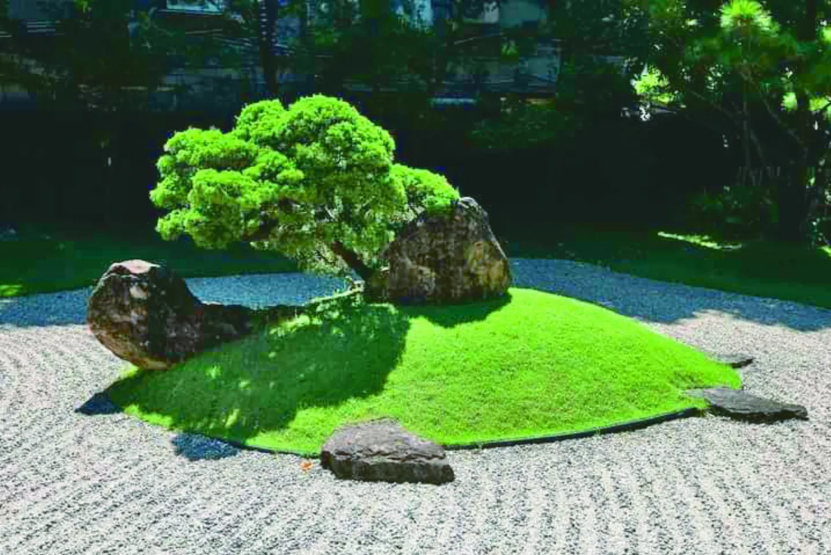 【生活快門】天然遮陽傘