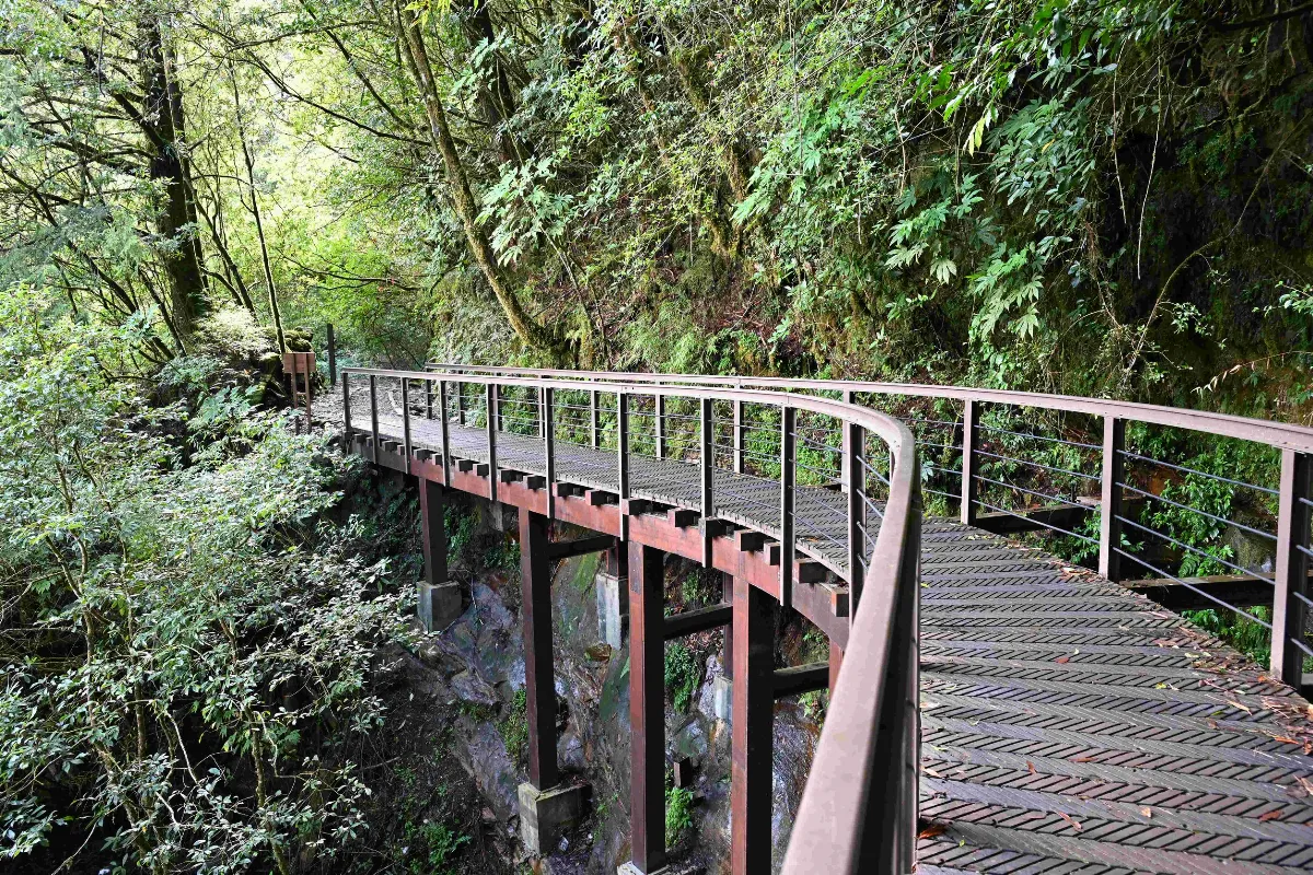 阿里山二步道 獲工程永續與環境美學獎
