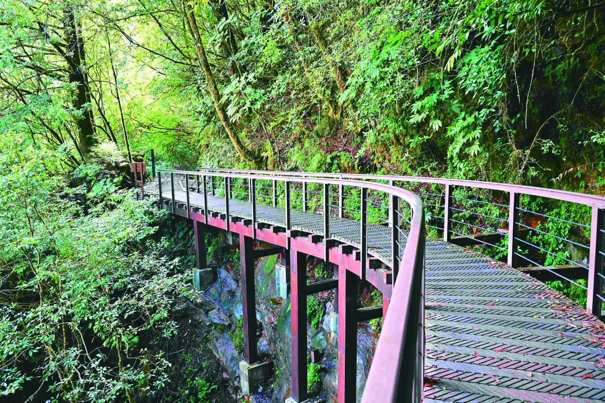 特富野古道美景 接連獲獎