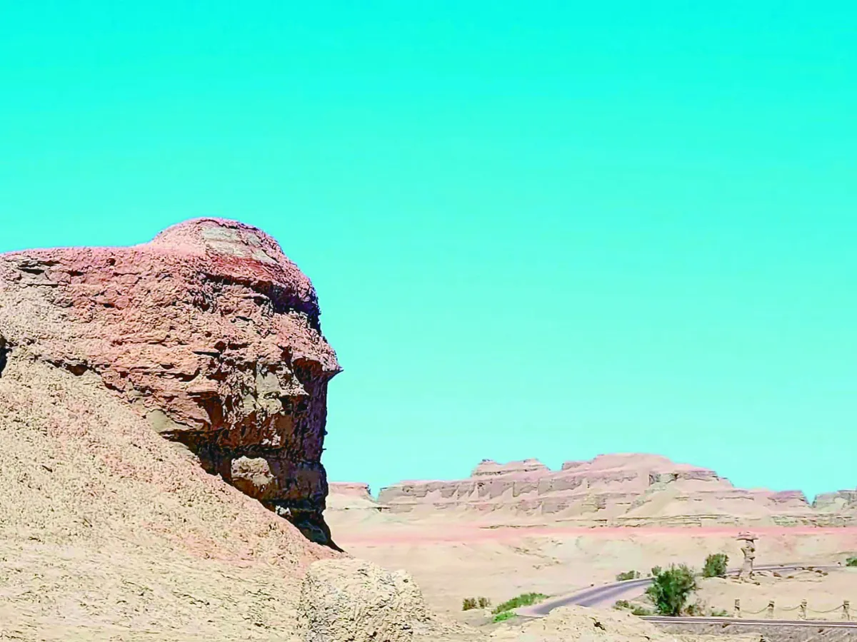 【生活快門】印地安頭，像！