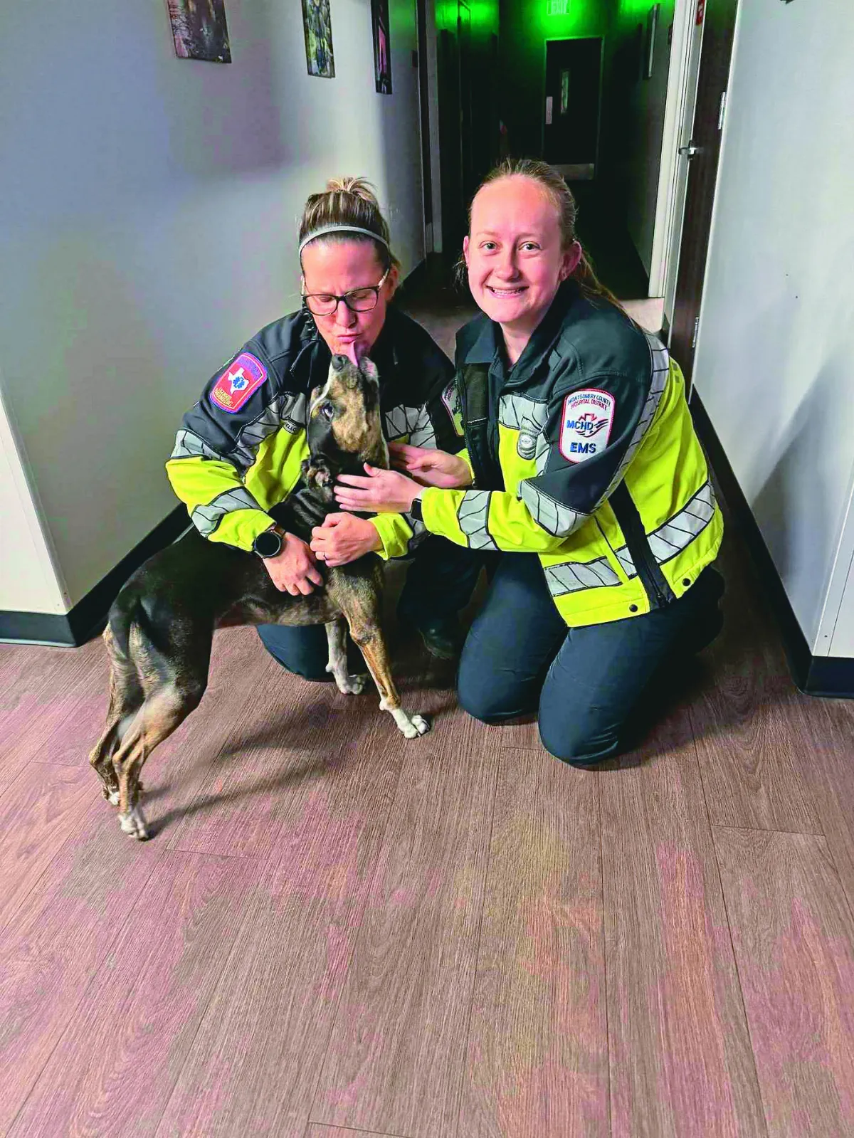 浪浪太萌 消防局為牠廢禁養政策