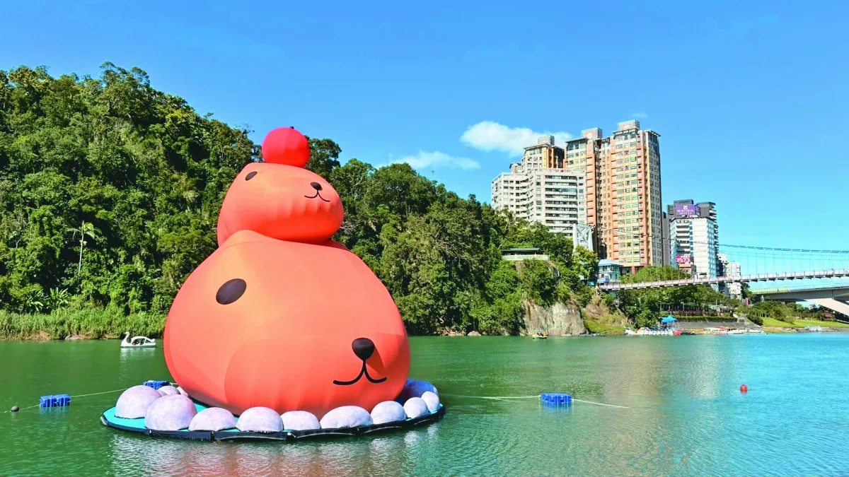 水豚君 碧潭賣萌