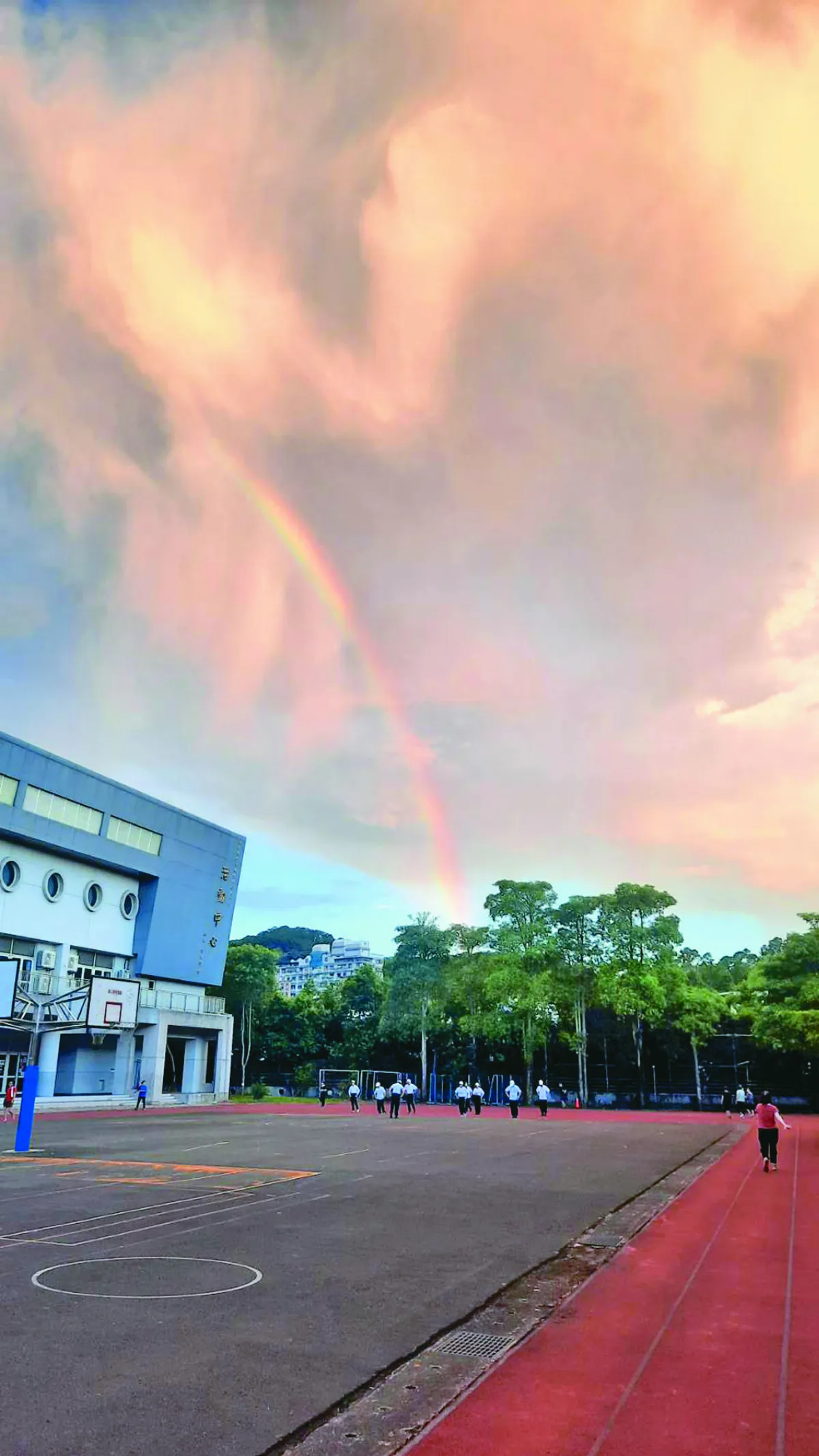 【生活快門】清晨的祝福