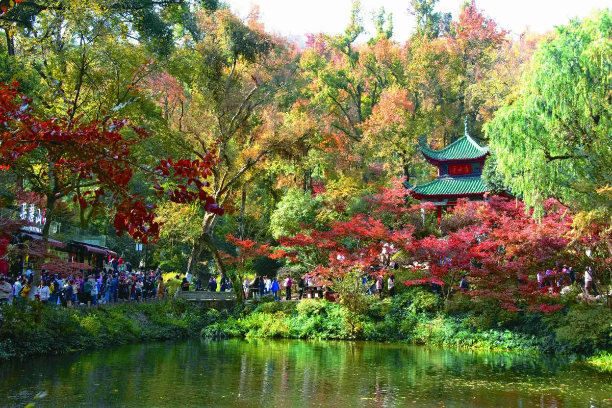 岳麓山楓紅 觀賞好時節