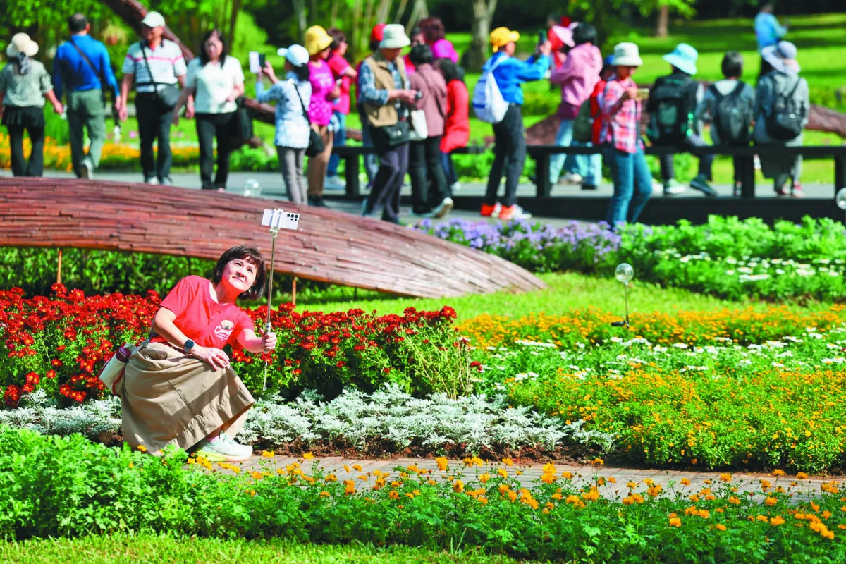 士林官邸菊展 民眾湧入搶拍