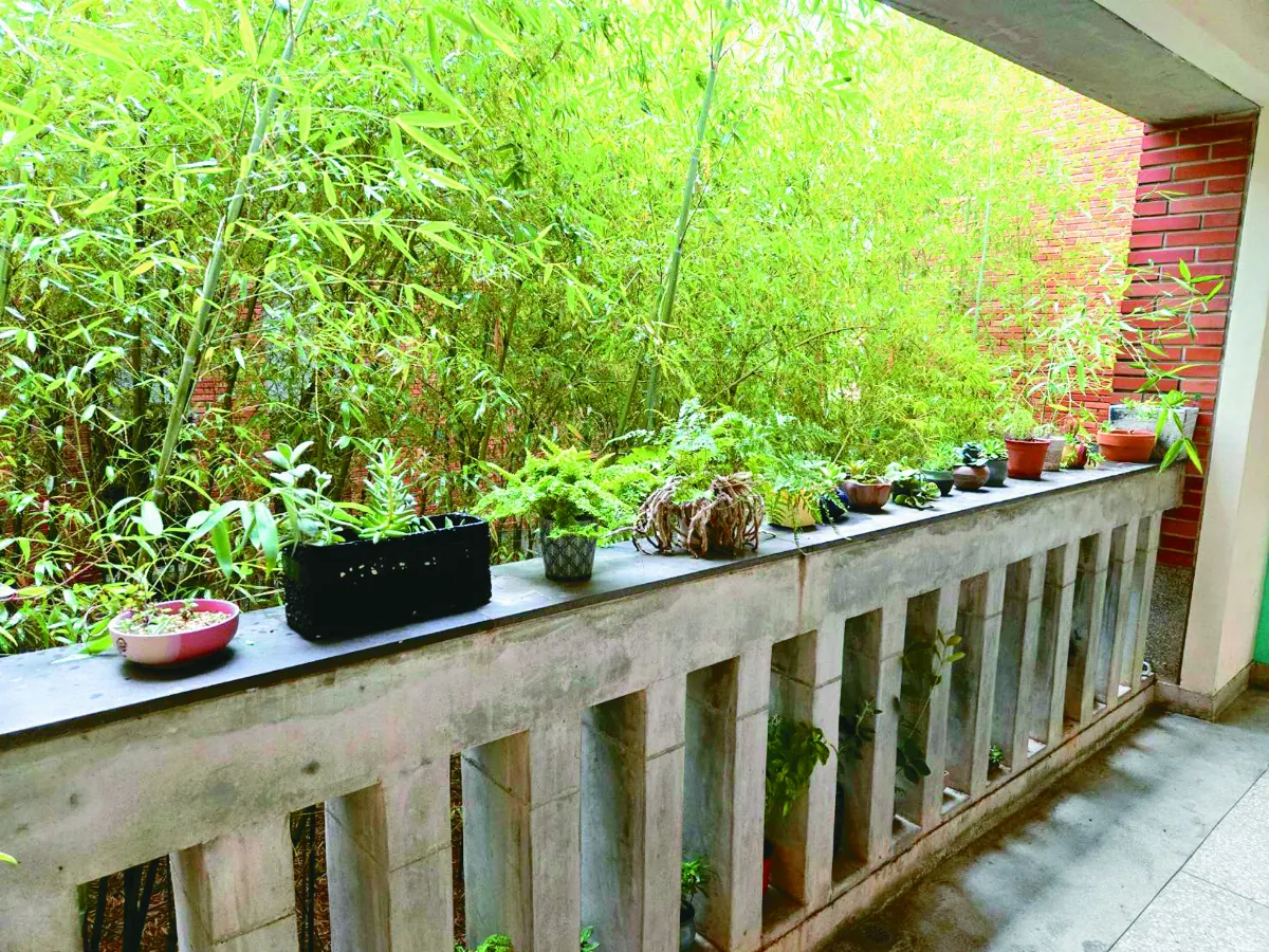 【生活快門】各有風情