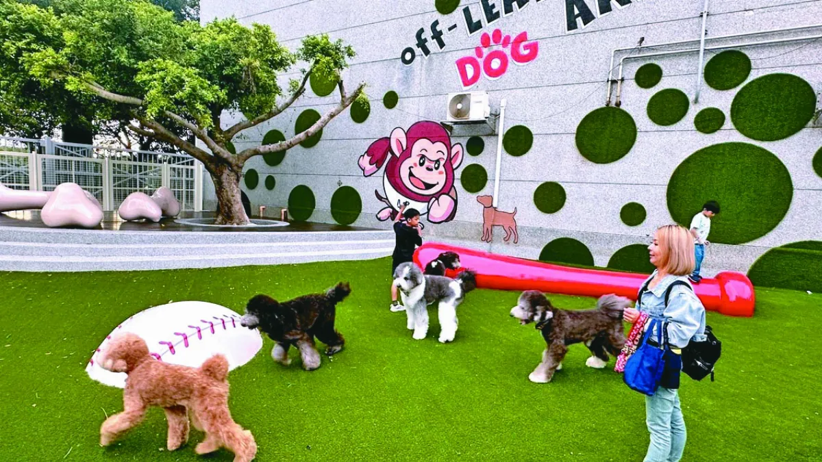 桃猿棒球場 設毛孩專區