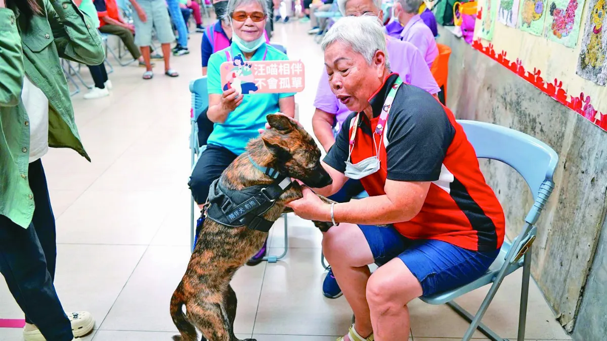 浪浪化身陪伴犬 讓長輩重拾笑容