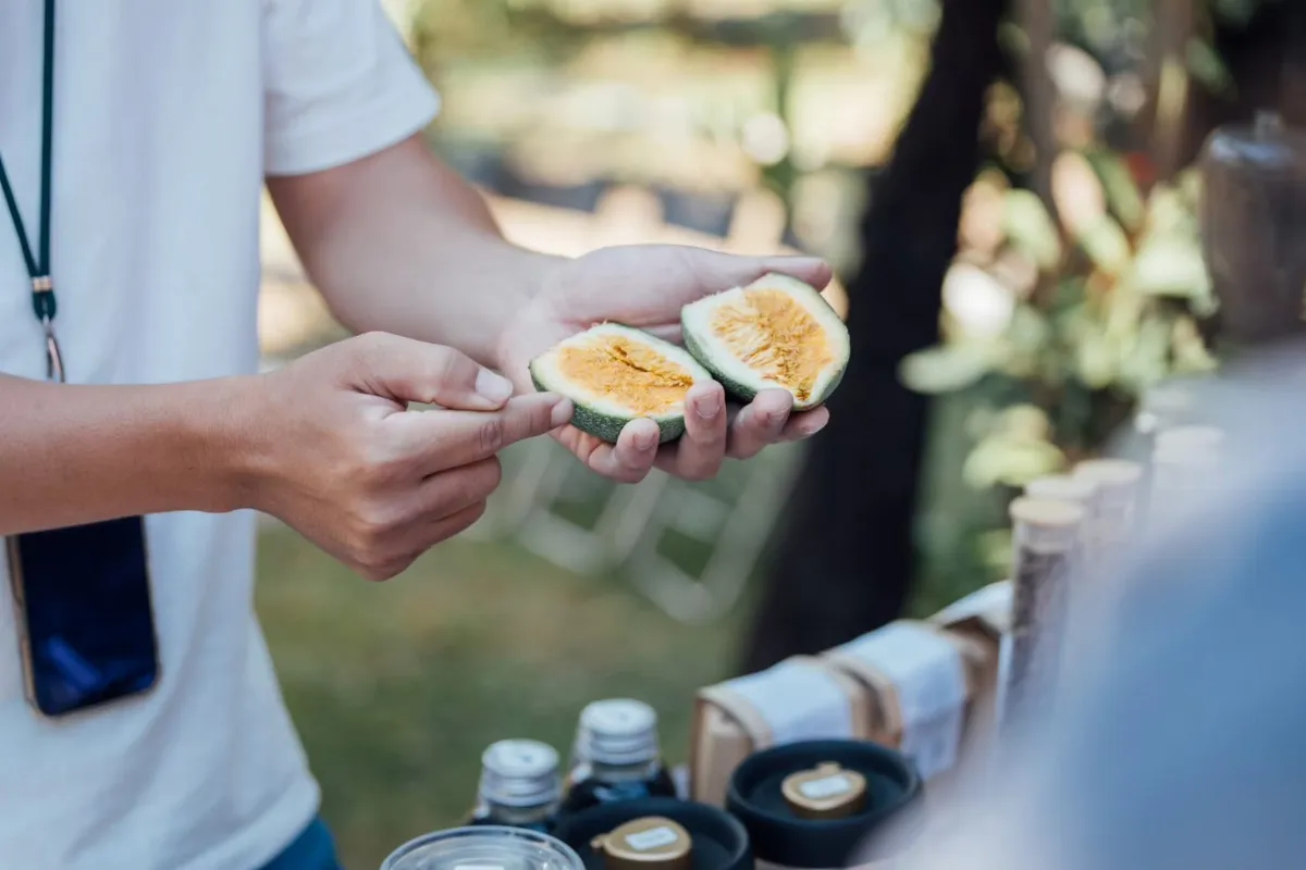 從傷痛到創生 日光小林用音樂與手作展現生命力