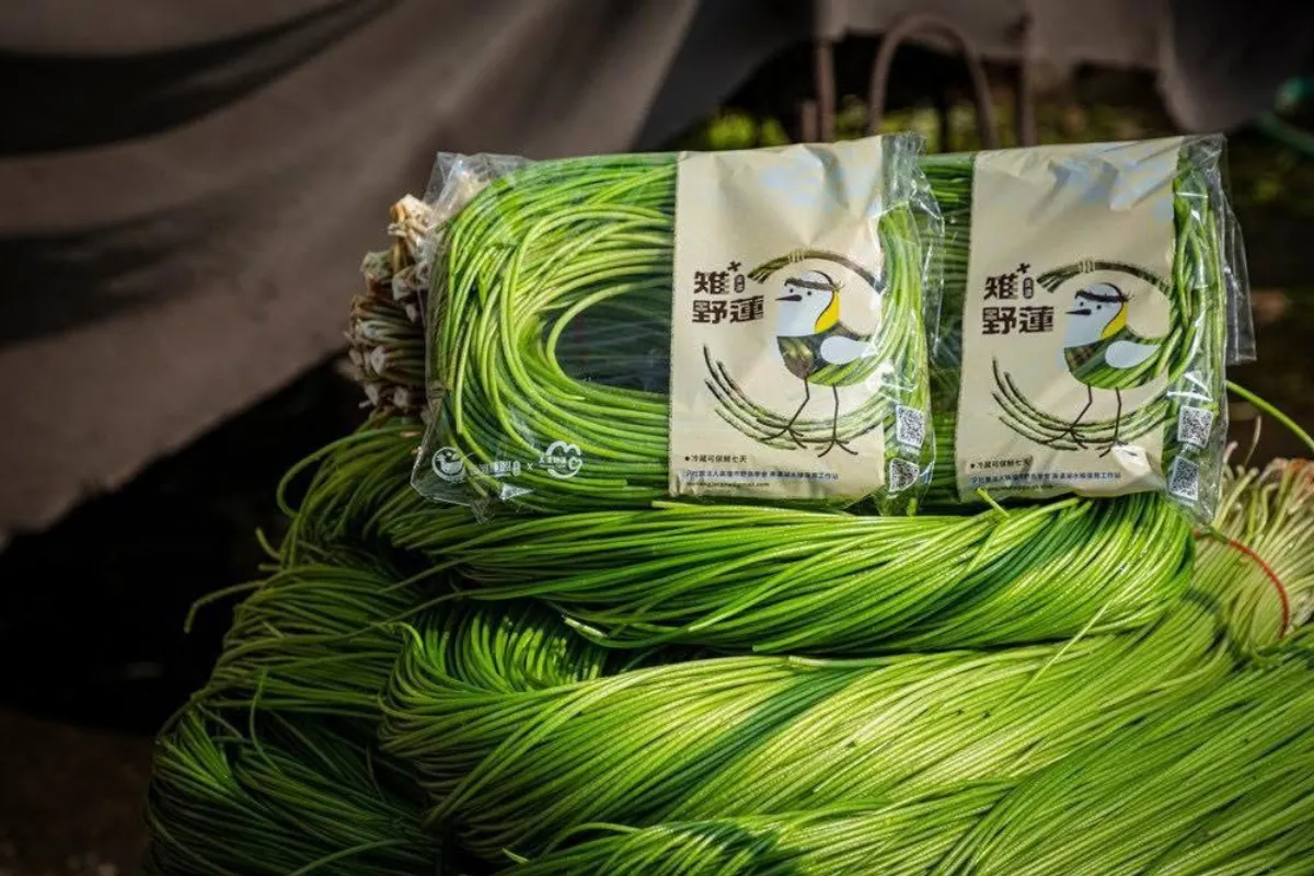 水雉棲地友善農產上市   林保署推生態服務給付