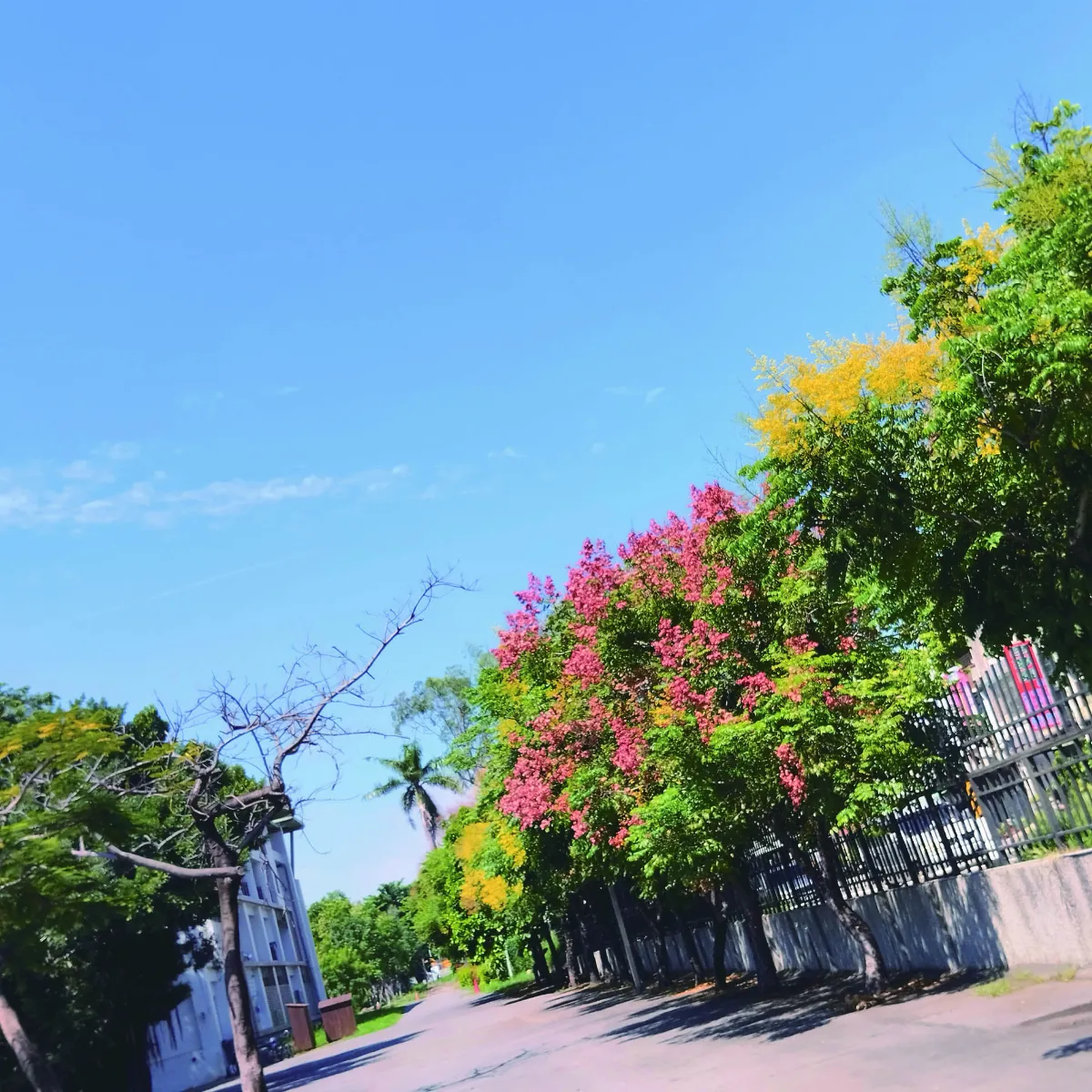 【心情筆記】不期而遇的美好