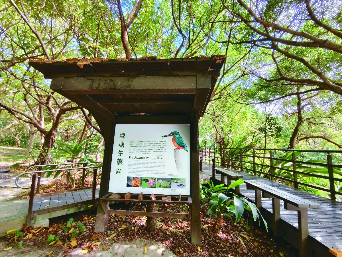 【走讀城鄉】關渡國際自然藝術季：在秋冬時節走訪關渡自然公園