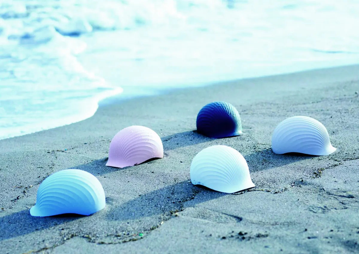 扇貝72變  變身安全帽、雪鏟、遊樂場……