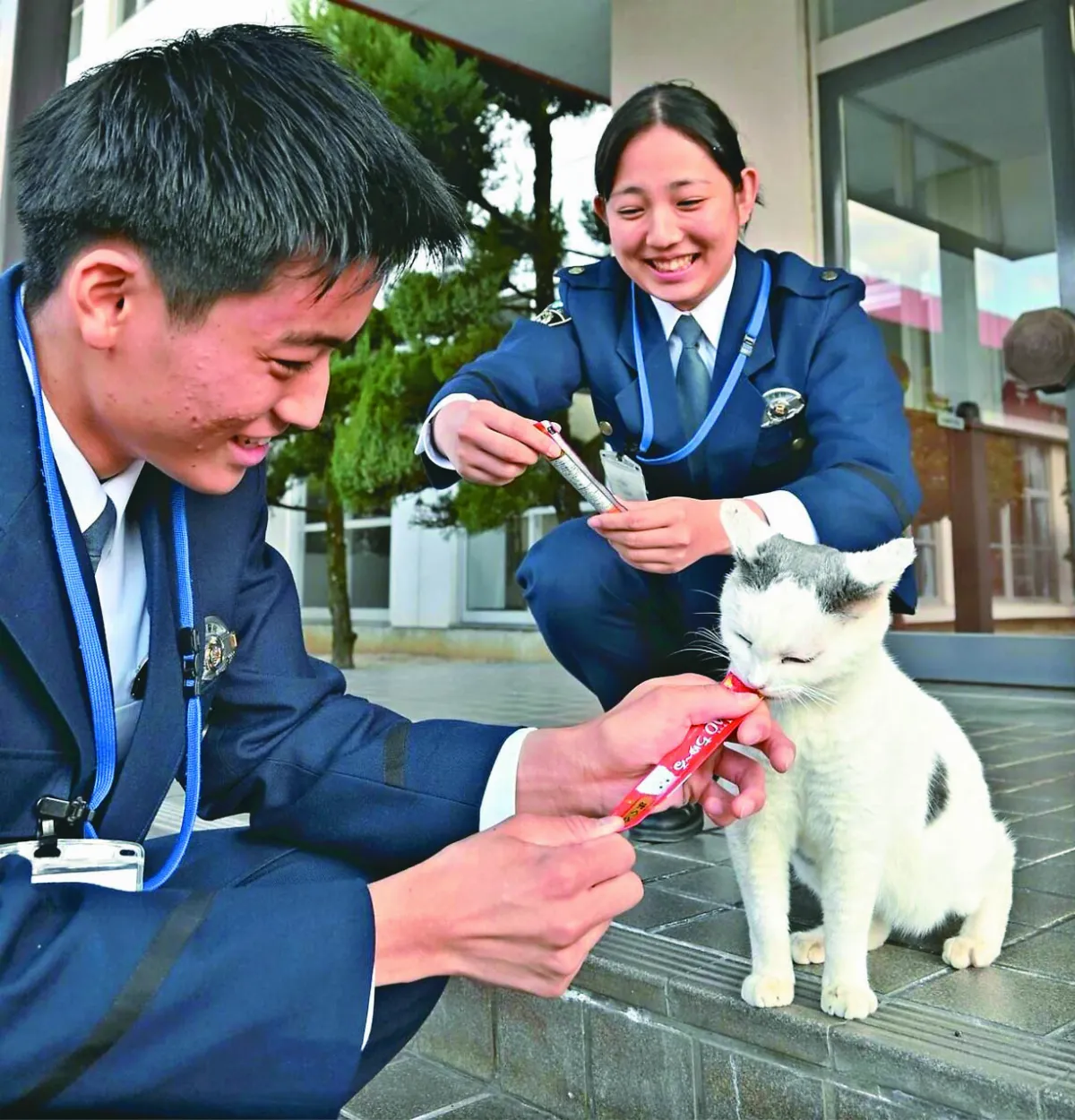 日本貓警視  巡邏警校維護秩序