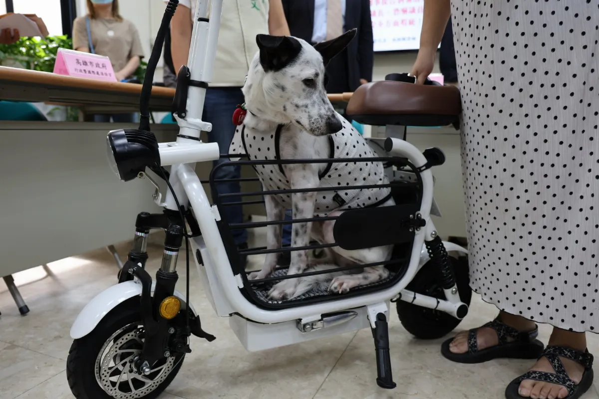 寵物電動車業者未檢驗照賣照租 交通部兩周內全面稽查