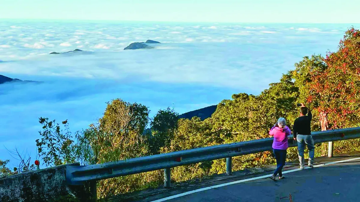 減碳登山  元氣滿滿