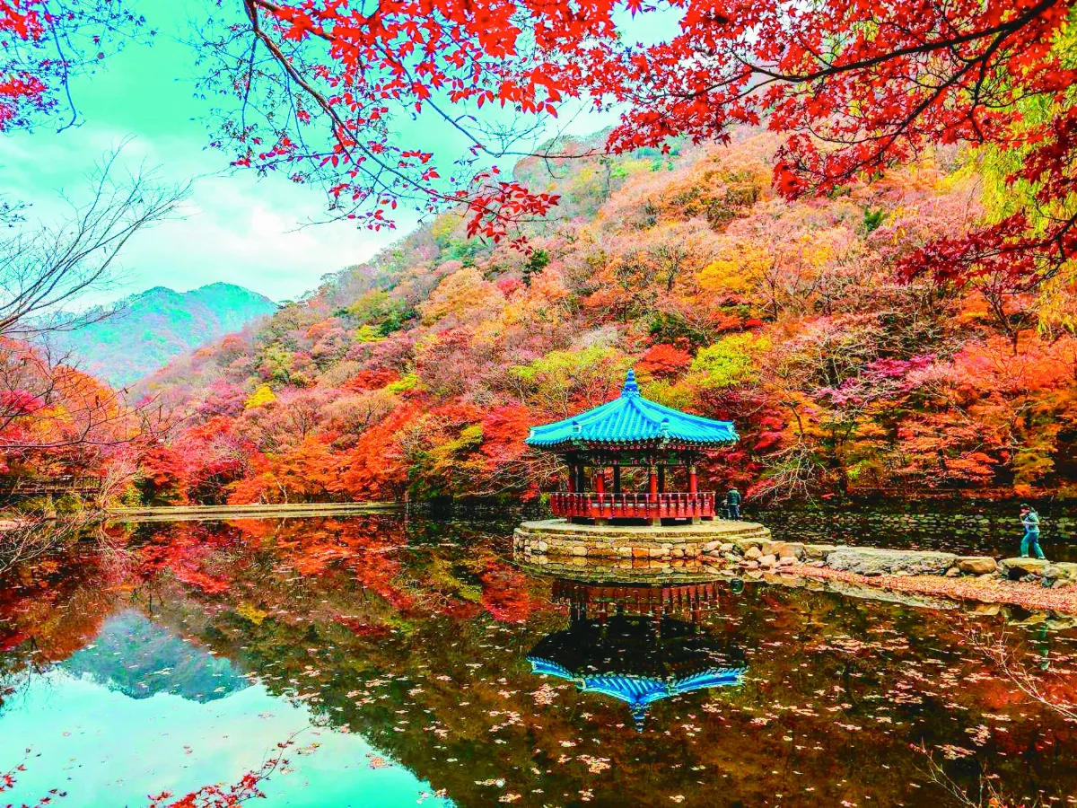 【植日光年】遇見初冬的顏色