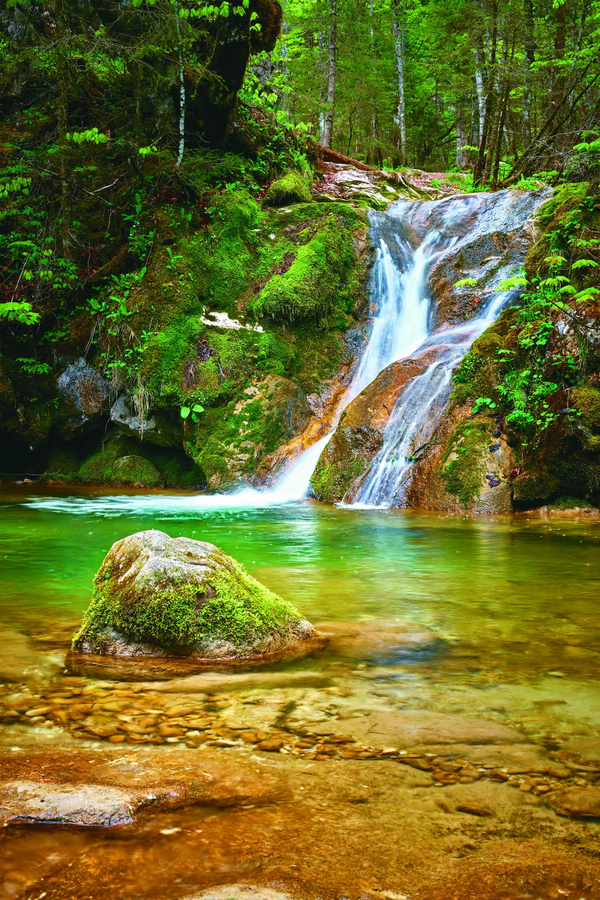 星雲大師全集【經義】佛法滿人間—仁山智水