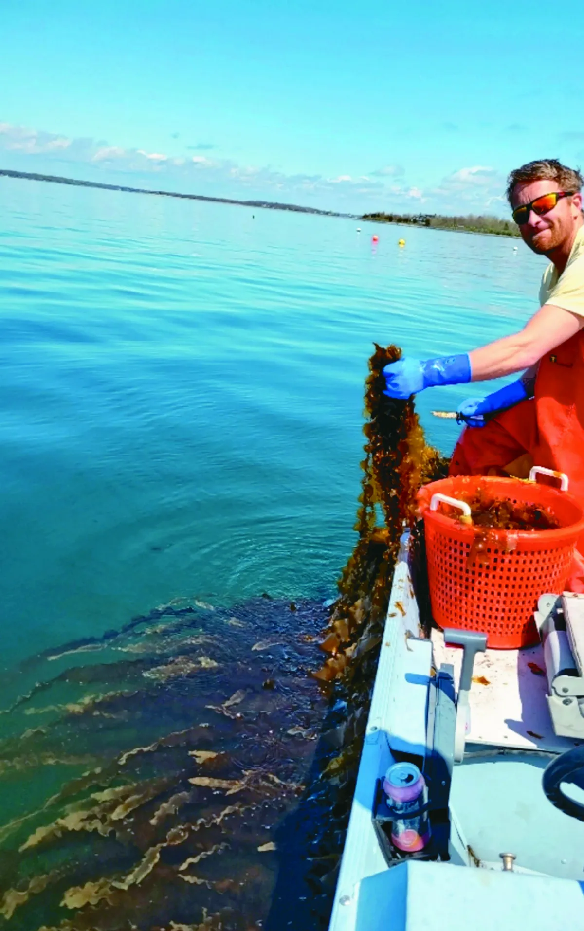 海帶做成衣服 掀減塑新時尚