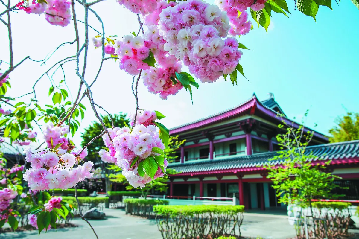 北島佛光山獲四星肯定  園林躍升具重要意義庭園