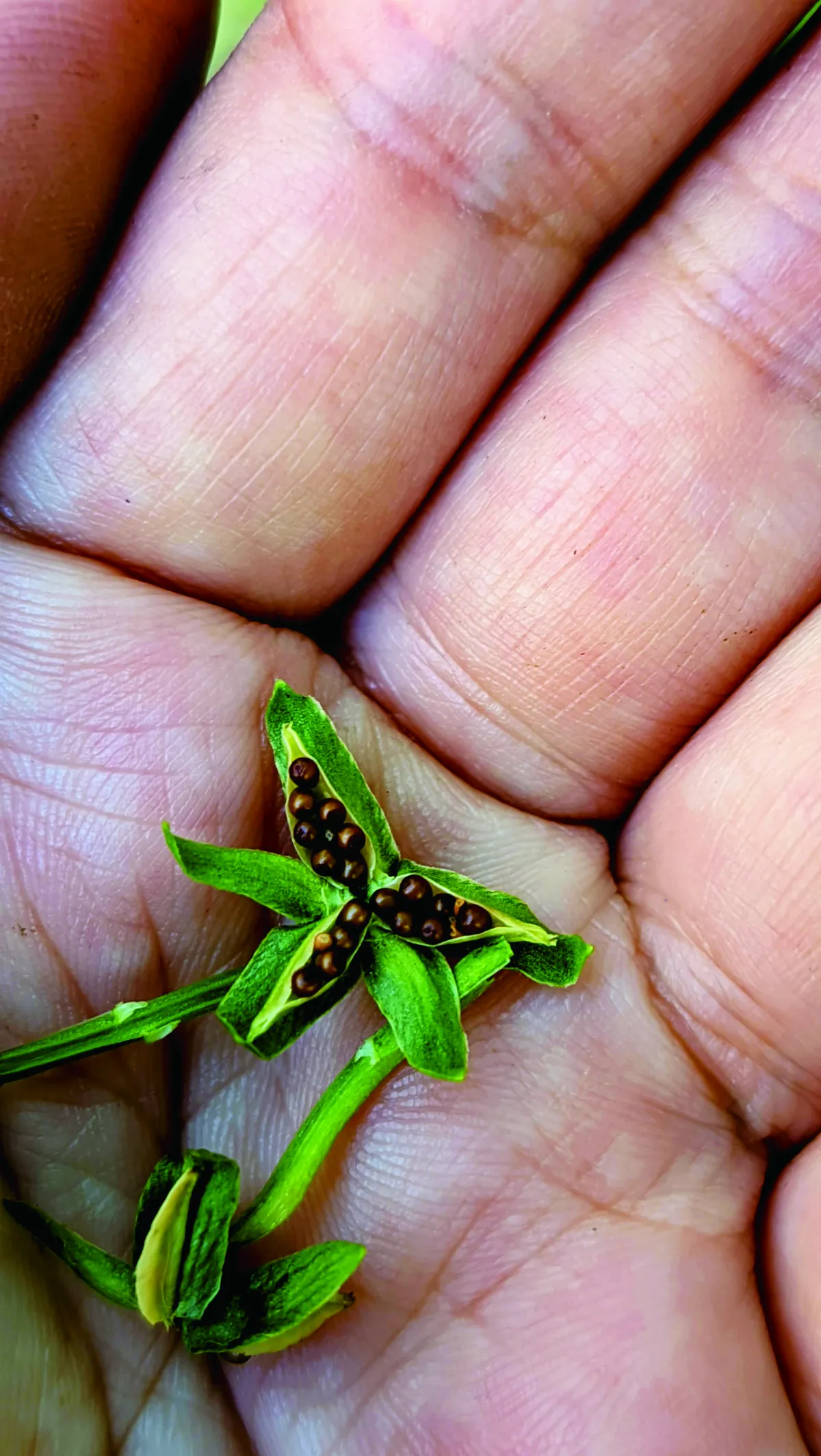 星雲大師全集⑳【佛教管理學②】人間佛教的「治心十法」⑨