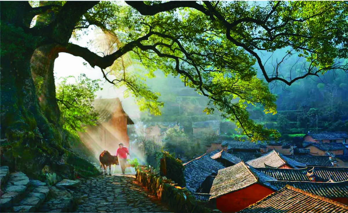 【文創之旅】 麗水生態高地詩畫之境