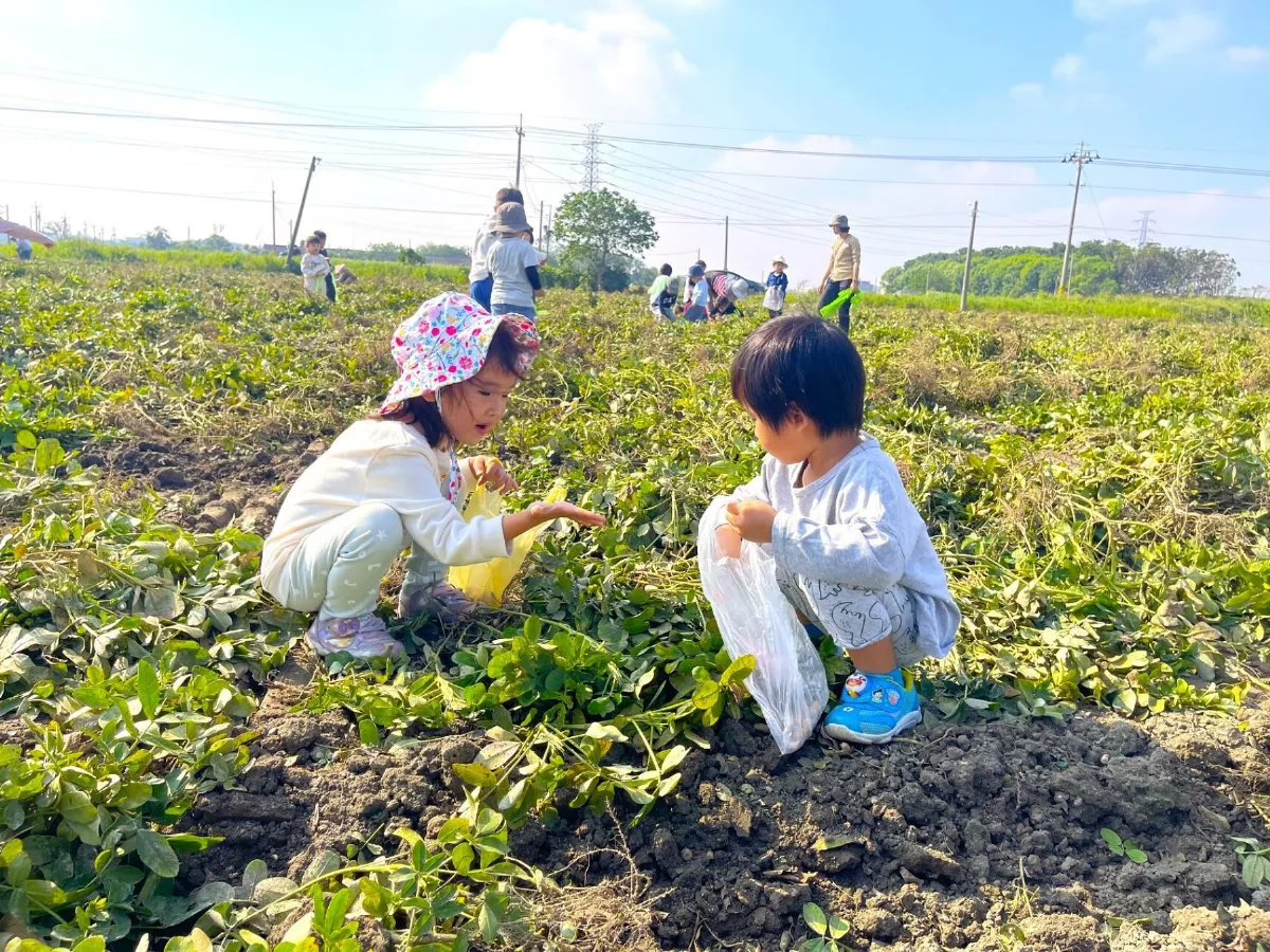 北港踏境走進幼兒園 藉在地文化課程培養生活素養