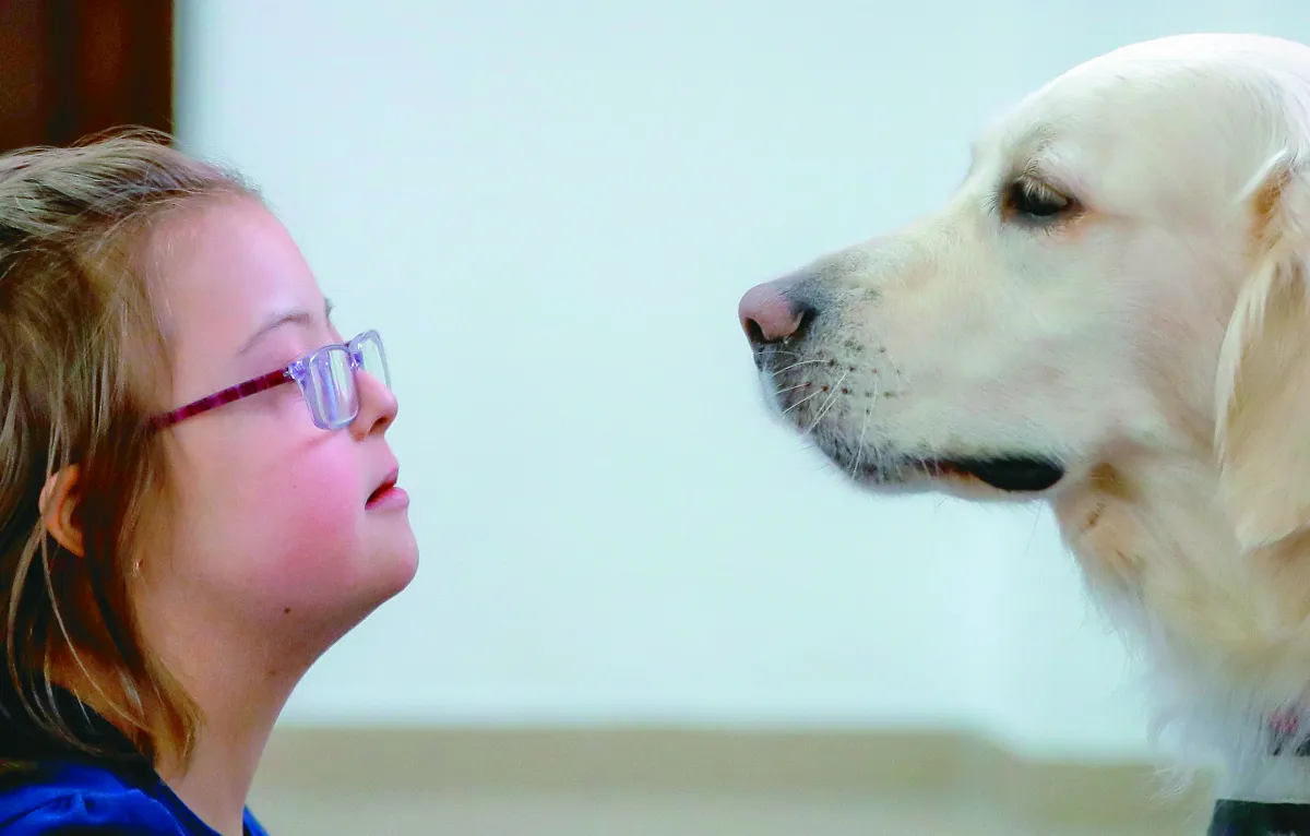 觀看療癒犬影片 也能紓解壓力