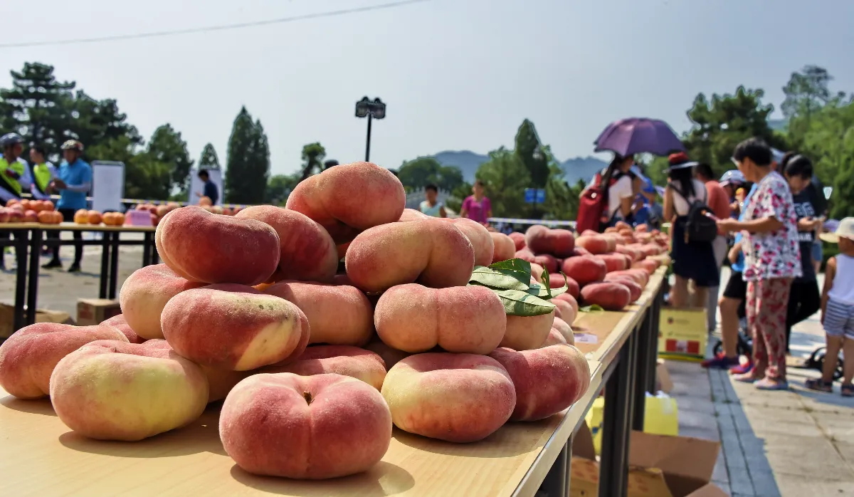【時食有味】蟠桃獻千祥