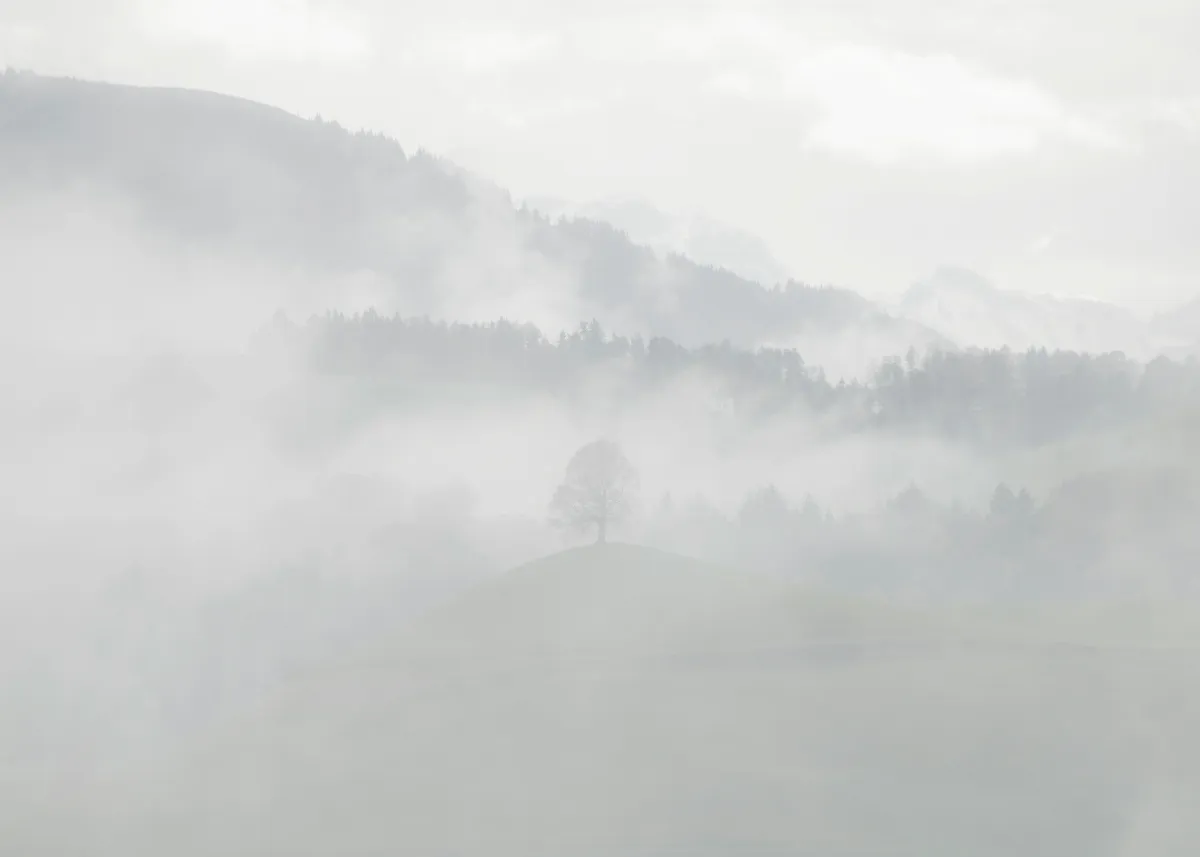 【詩】我在山城風雨中移動