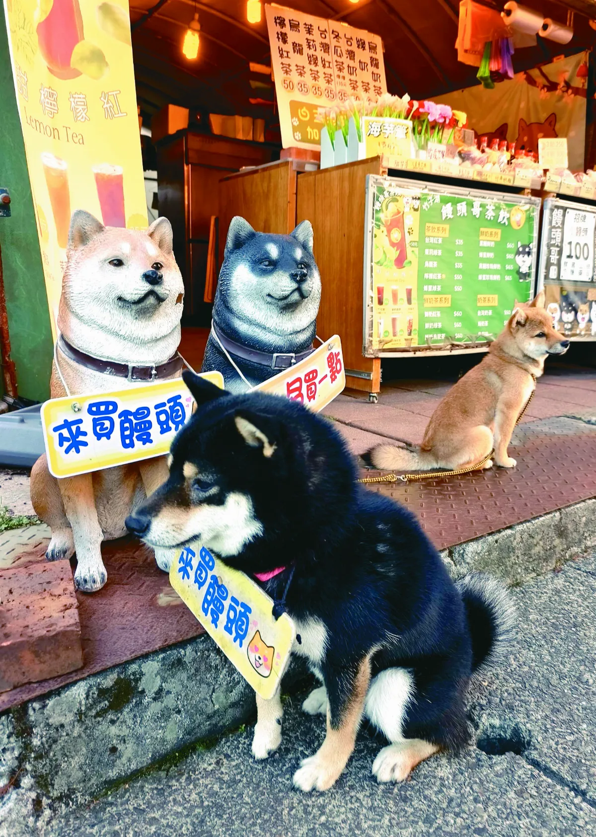 【生活快門】真真假假