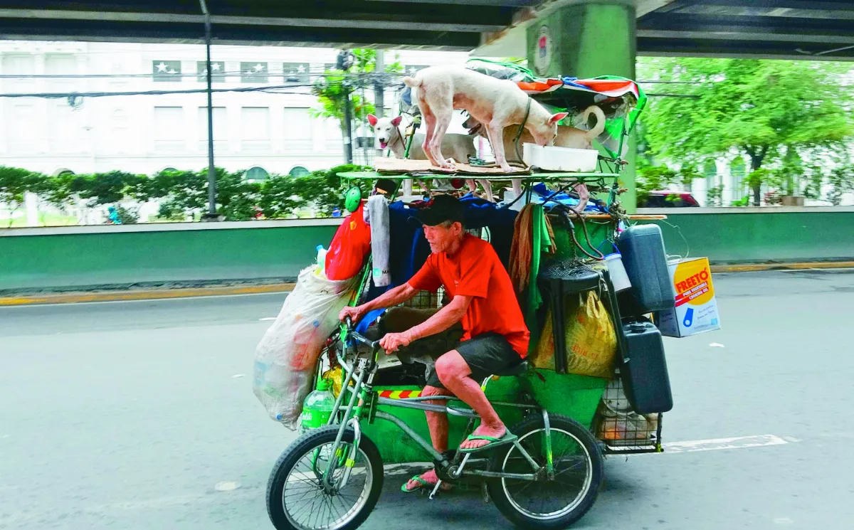 街友守護6浪浪  挨餓也要餵飽狗兒