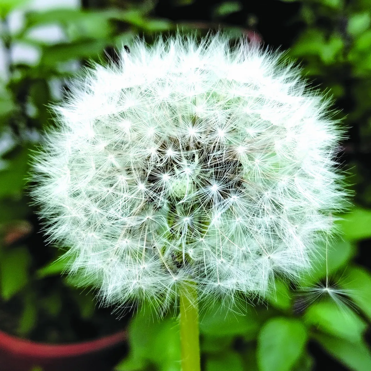 我在遠方