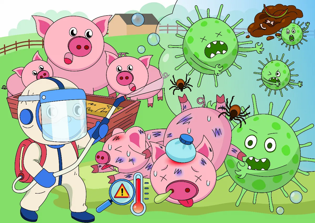 非洲豬瘟 豬界黑死病