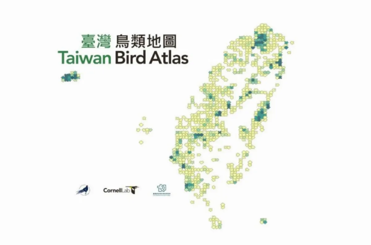台灣鳥類地圖計畫 預定2028年完成首次調查